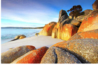 AAA One 31 Jan simple